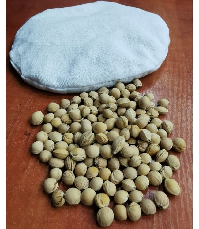 Kersenpitkussen 15 x 15 cm PILOT BEAR