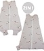 2-in-1 multifunctionele babyslaapzak BEES
