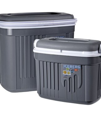 Koelbox Set - 2 stuks - 8L en 32L