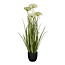 Mica Decorations Künstliches Ziergras - Weiß - H90 cm