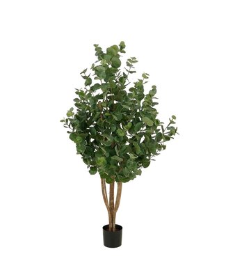 Mica Decorations Kunstplant Eucalyptusboom Groen