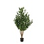 Mica Decorations Artificial Eucalyptus Tree - Green - H140 cm