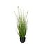 Mica Decorations Artificial Eremurus Plant - White - H110 cm