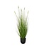 Mica Decorations Kunstplant Siergras Wit