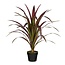 Mica Decorations Kunstplant Bananenboom Rood
