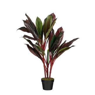 Mica Decorations Künstliche Cordyline - Rot - H90 cm