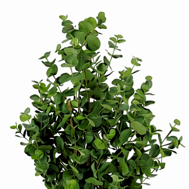 Mica Decorations Artificial Eucalyptus Tree - Green - H140 cm