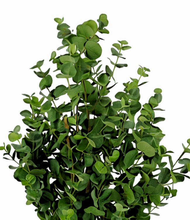Kunstplant Eucalyptusboom Groen