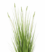 Kunstplant Siergras Wit