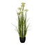 Mica Decorations Kunstplant Siergras Wit