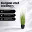 Kunstplant Siergras Wit