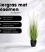 Kunstplant Siergras Wit