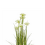 Mica Decorations Artificial Ornamental Grass - White - H120 cm