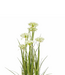 Kunstplant Siergras Wit