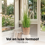 Mica Decorations Artificial Eremurus Plant - White - H110 cm