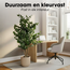 Mica Decorations Artificial Eucalyptus Tree - Green - H140 cm