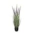 Mica Decorations Künstlicher Eremurus - Lila - H110 cm
