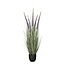 Mica Decorations Kunstplant Siergras Paars