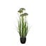 Mica Decorations Künstliches Ziergras - Lila - H90 cm