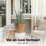 Mica Decorations Artificial Eremurus Plant - Purple - H110 cm