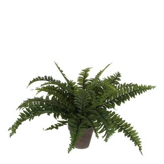 Mica Decorations Kunstplant Boston fern Groen