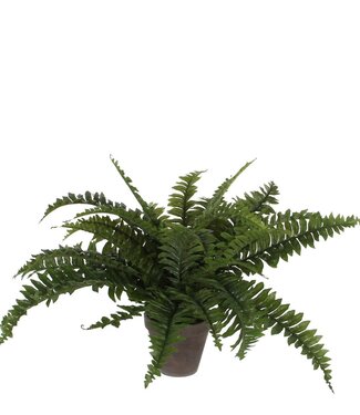 Kunstplant Boston fern Groen