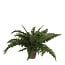 Mica Decorations Künstlicher Bostonfarn - Grün - H42 × Ø50 cm