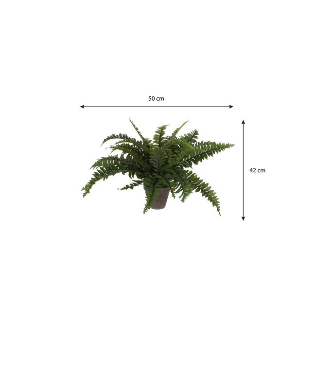 Kunstplant Boston fern Groen