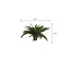 Mica Decorations Künstlicher Bostonfarn - Grün - H42 × Ø50 cm