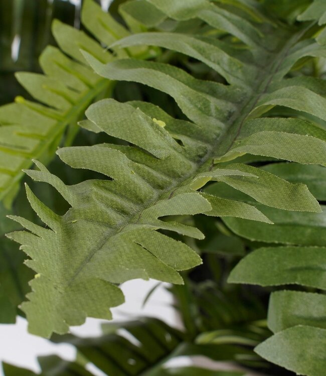 Kunstplant Boston fern Groen