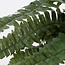 Mica Decorations Künstlicher Bostonfarn - Grün - H42 × Ø50 cm