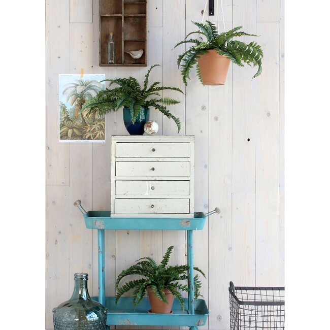 Mica Decorations Künstlicher Bostonfarn - Grün - H42 × Ø50 cm