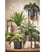 Kunstplant Boston fern Groen