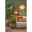 Mica Decorations Elsa Pendant Light - Light Brown