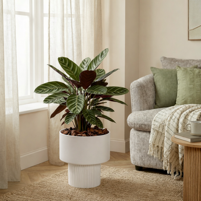 Bloempot binnen Lux Gebroken wit