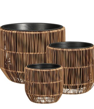 Bloempot buiten Peta Donkerbruin