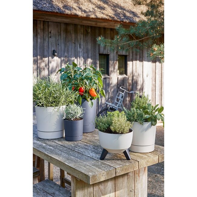 Mica Decorations Doppio Pflanzkübel für draußen aus recyceltem Kunststoff - Beige - H20,5 cm