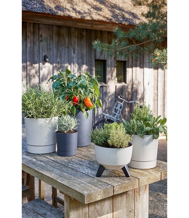 Plantenbak buiten Doppio Beige