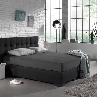 Dreamhouse Jersey nur 135 gr. Spannbetttuch Anthrazit 160/180 × 200