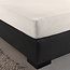 Dreamhouse Single Jersey 135 g/m² Spannbettlaken Creme 190/200 × 200/220 cm