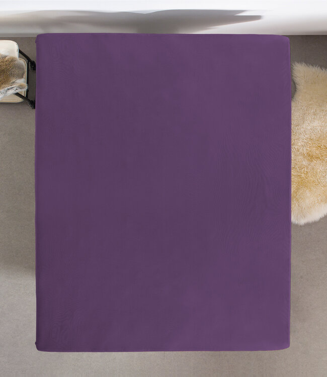 Enkel Jersey 135 gr. Hoeslaken Paars 190/200 x 200/220