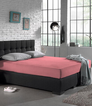 Dreamhouse Eenpersoons jersey 135 gr. hoeslaken roze 140 x 200