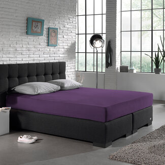 Dreamhouse Enkel Jersey 135 gr. Hoeslaken Paars 140 x 200