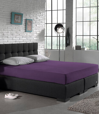 Dreamhouse Enkel Jersey 135 gr. Hoeslaken Paars 140 x 200