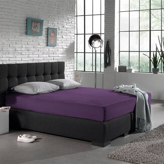 Dreamhouse Jersey nur 135 gr. Spannbettlaken Lila 80/100 × 200