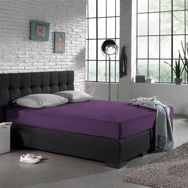 Dreamhouse Single-Jersey-Spannbettlaken 135 g/m² Lila 160/180 × 200 cm