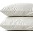 Sleeptime Velor 2-in-1 pillowcases cream