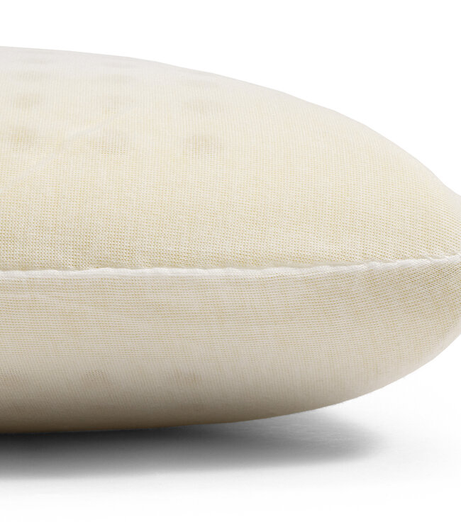 Orthopedisch Aloë Vera Viscogel Kussen