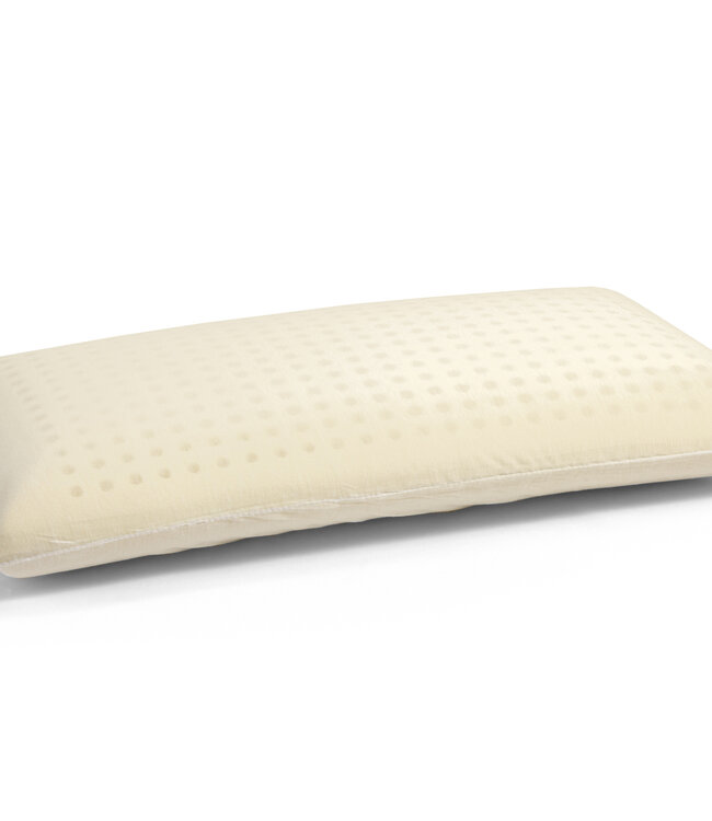 Orthopedisch Aloë Vera Viscogel Kussen