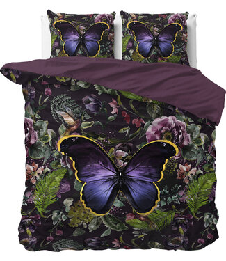 Dreamhouse Mosani Turkoois 240 x 220